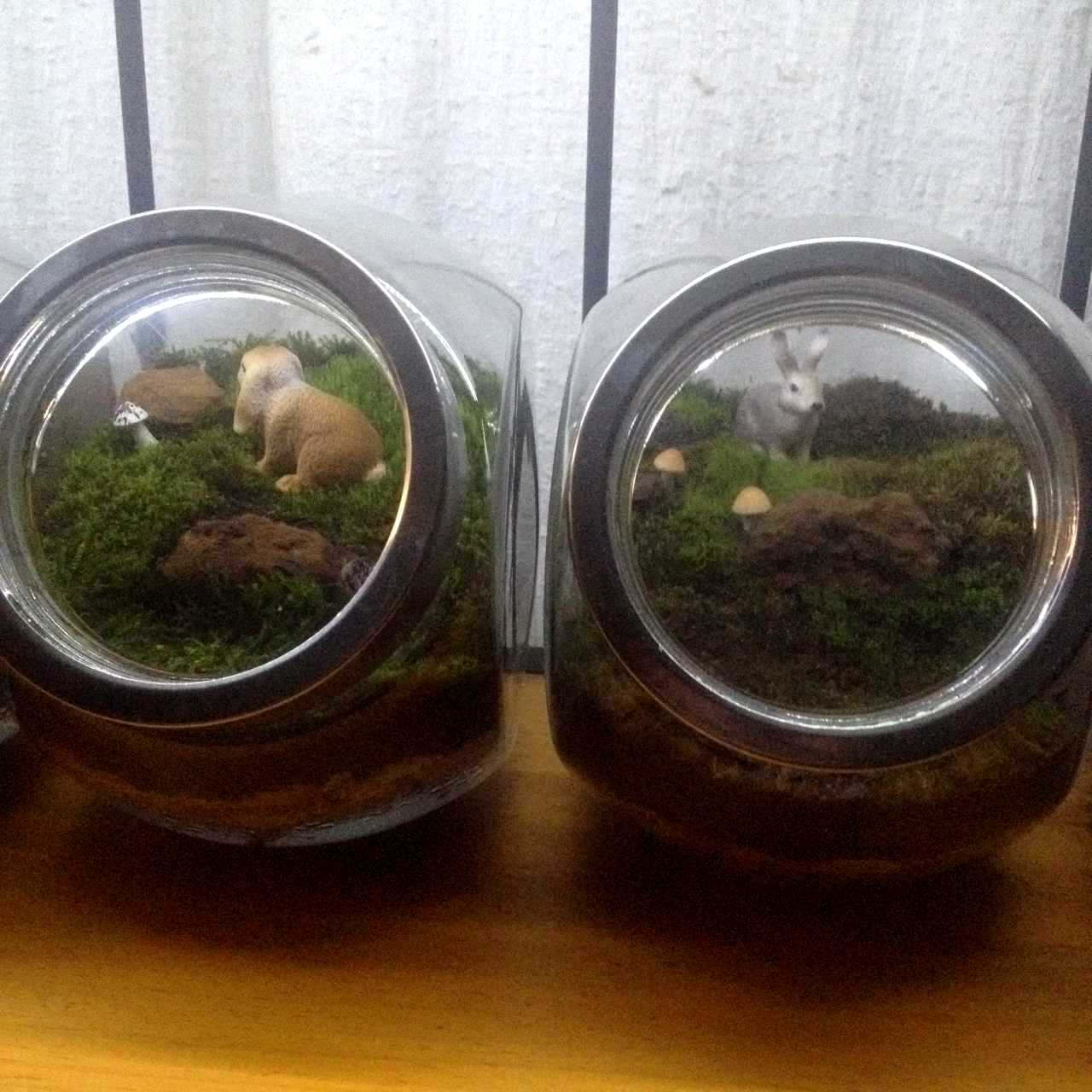 Bunny Jars 2 