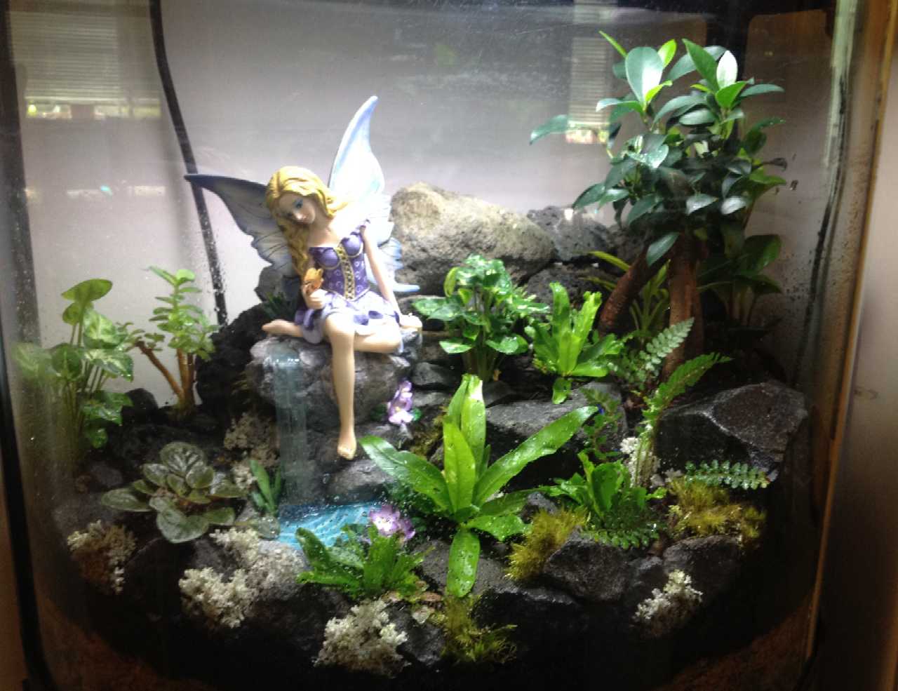 Waterfall fairy tank, close up 