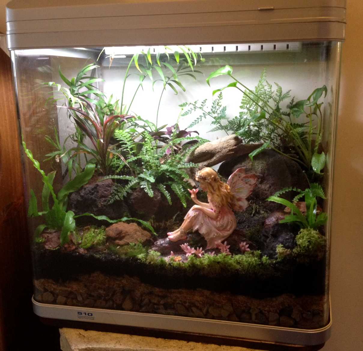 Fern fairy tank 