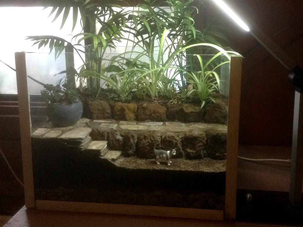 Tank , tiered ayla light 